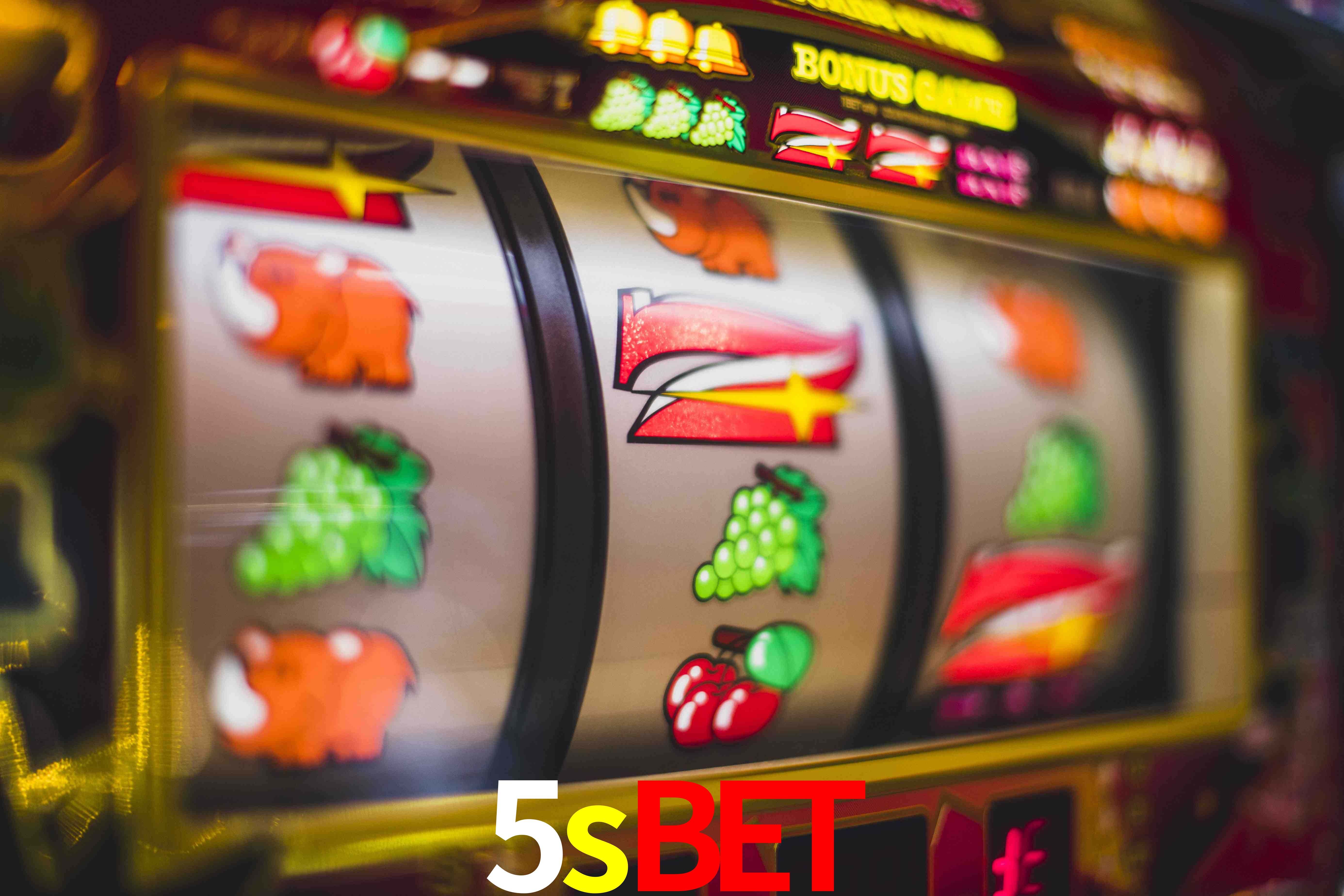 Statistics 5sbet